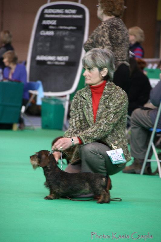 Crufts2011_2 796.jpg